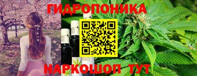 ГАЛЛЮЦИНОГЕННЫЕ ГРИБЫ Майкоп