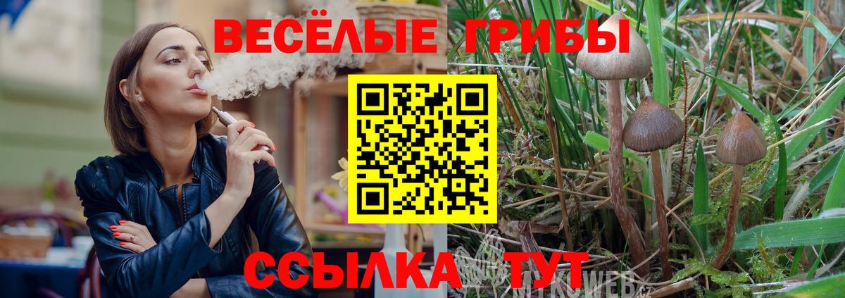 Псилоцибиновые грибы мицелий Александров