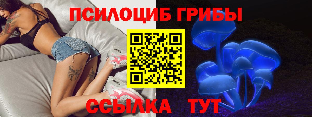 Псилоцибиновые грибы ЛСД  Вход с VPN  Александров  Галлюциногенные грибы прущие грибы 